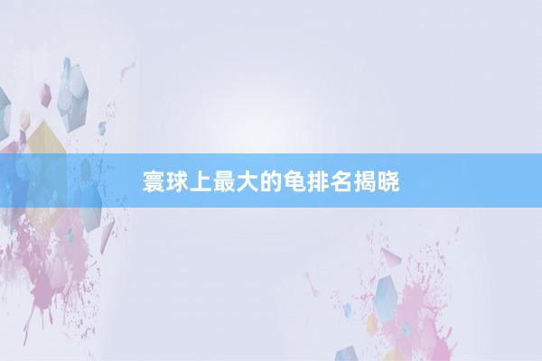 寰球上最大的龟排名揭晓